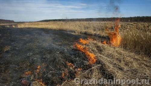 МЧС напоминает о запрете выжигания сухой растительности
